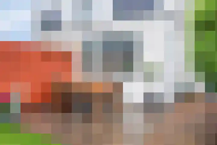 Van der Vlugtstraat 6 Groningen thumbnail 26