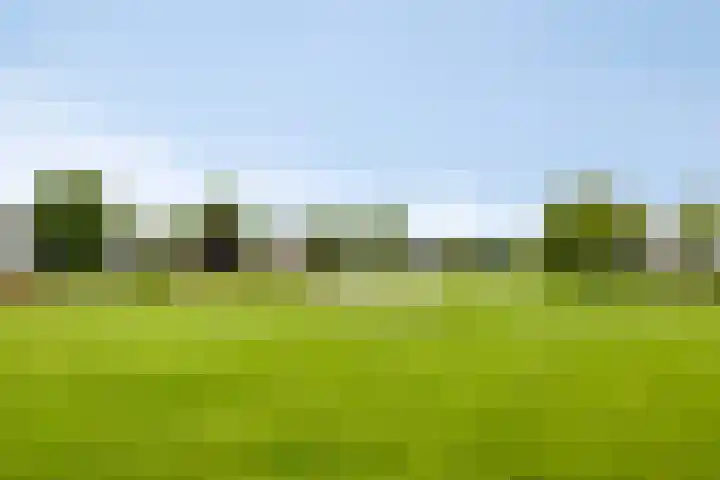 Van der Vlugtstraat 6 Groningen thumbnail 31
