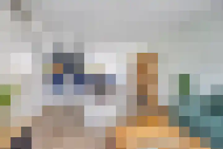 Van der Vlugtstraat 6 Groningen thumbnail 5