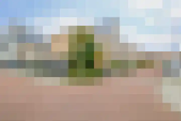 van der Voortstraat 1 Berkel en Rodenrijs thumbnail 5