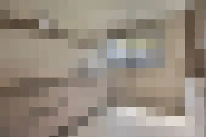 Van der Voortvaart 13 Den Haag thumbnail 10
