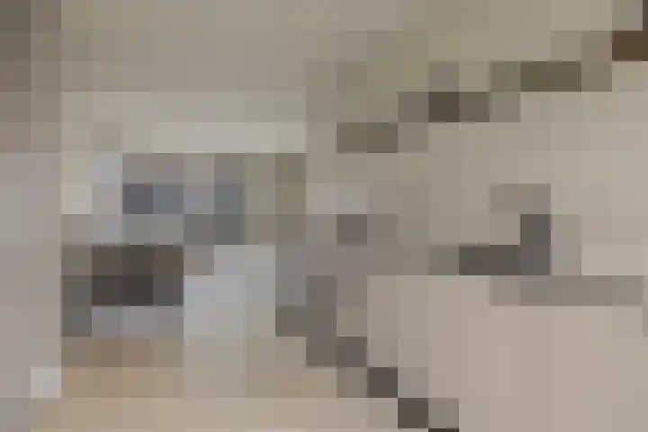 Van der Voortvaart 13 Den Haag thumbnail 12