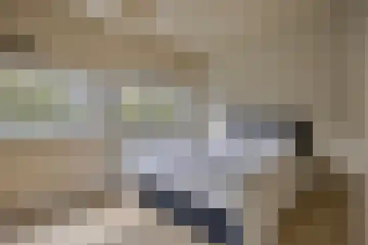 Van der Voortvaart 13 Den Haag thumbnail 16