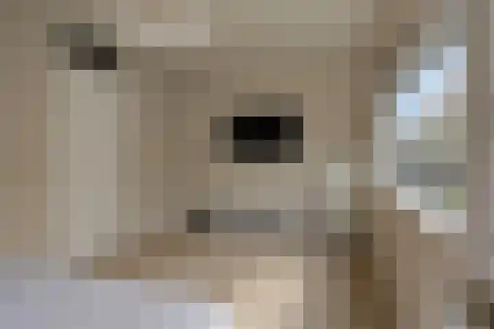 Van der Voortvaart 13 Den Haag thumbnail 17