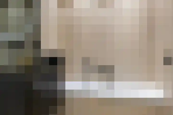 Van der Voortvaart 13 Den Haag thumbnail 19