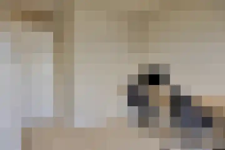 Van der Voortvaart 13 Den Haag thumbnail 21