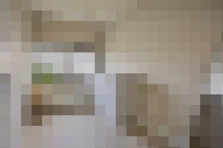 Van der Voortvaart 13 Den Haag thumbnail 22