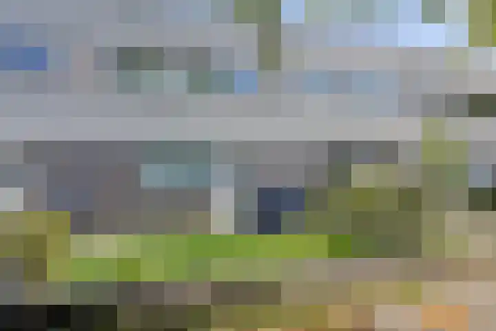 Van der Voortvaart 13 Den Haag thumbnail 23