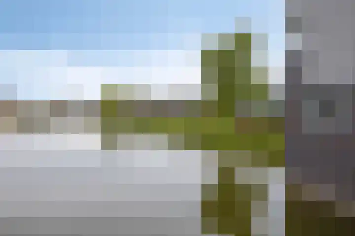 Van der Voortvaart 13 Den Haag thumbnail 24