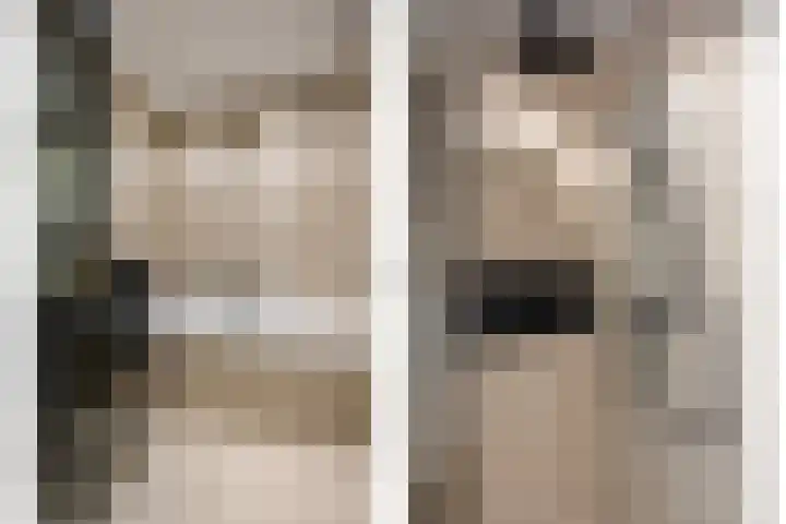 Van der Voortvaart 13 Den Haag thumbnail 4