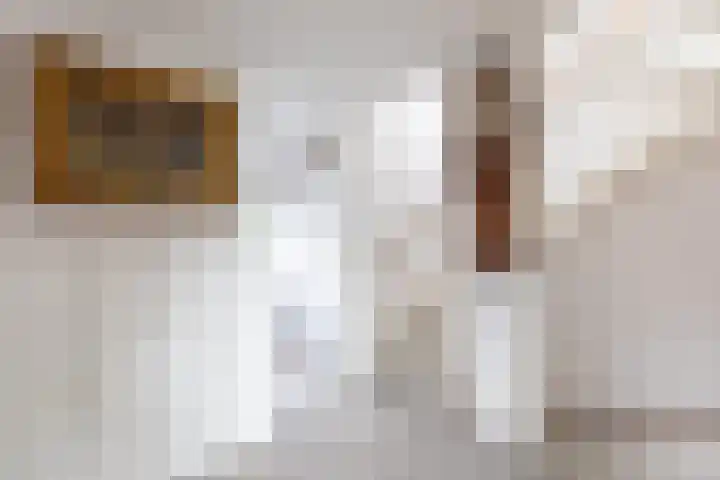 Van der Voortvaart 28 Den Haag thumbnail 15