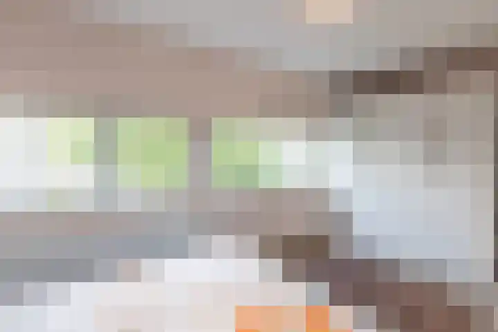 Van der Voortvaart 28 Den Haag thumbnail 17