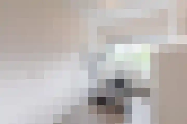 Van der Voortvaart 28 Den Haag thumbnail 20