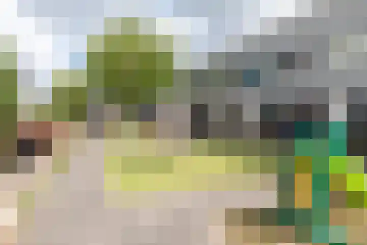 Van der Voortvaart 28 Den Haag thumbnail 32