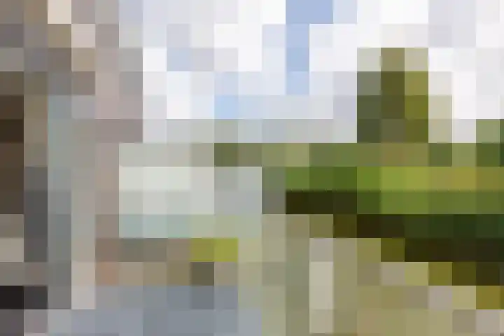 Van der Voortvaart 28 Den Haag thumbnail 7