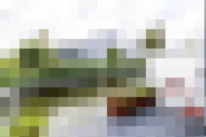Van der Voortvaart 28 Den Haag thumbnail 8