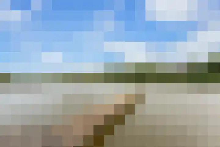 Van der Voortvaart 33 Den Haag thumbnail 11