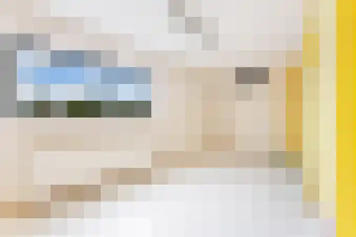 Van der Voortvaart 33 Den Haag thumbnail 29