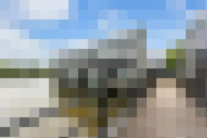 Van der Voortvaart 33 Den Haag thumbnail 8