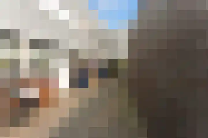 Van der Voortvaart 33 Den Haag thumbnail 9