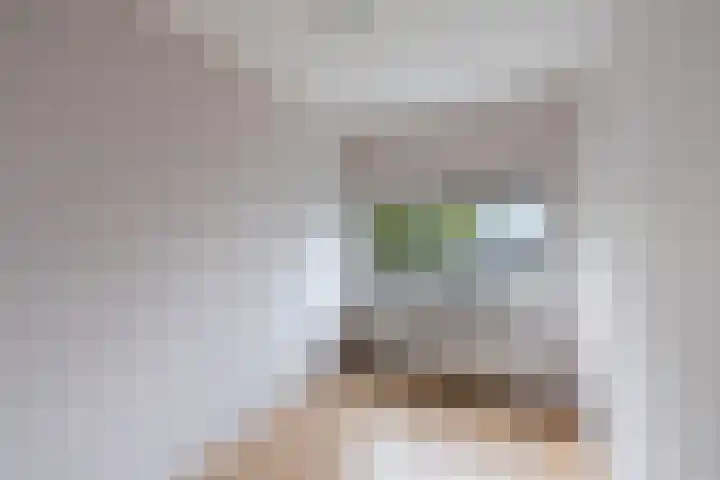 Van der Voortvaart 9 Den Haag thumbnail 14