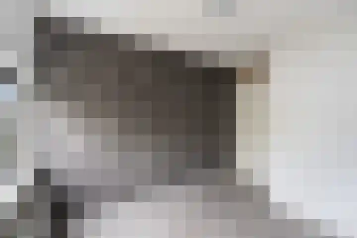Van der Voortvaart 9 Den Haag thumbnail 18