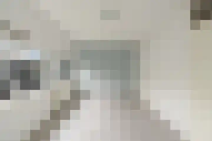 Van der Voortvaart 9 Den Haag thumbnail 19
