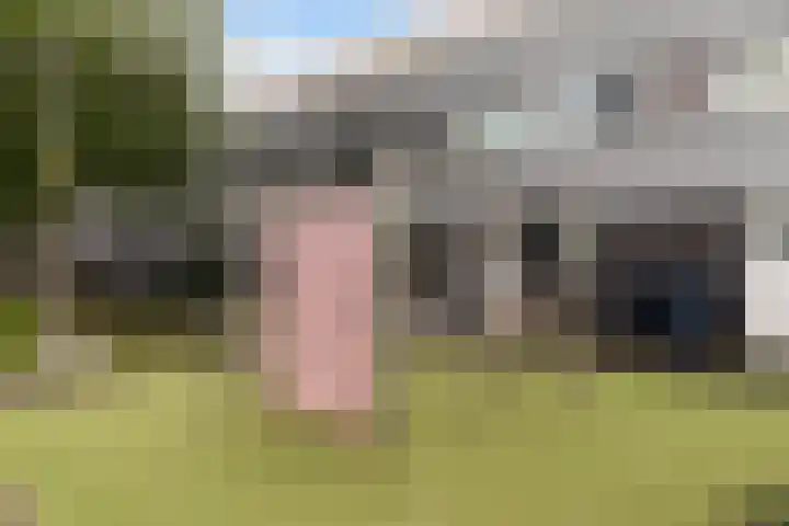 Van der Voortvaart 9 Den Haag thumbnail 30
