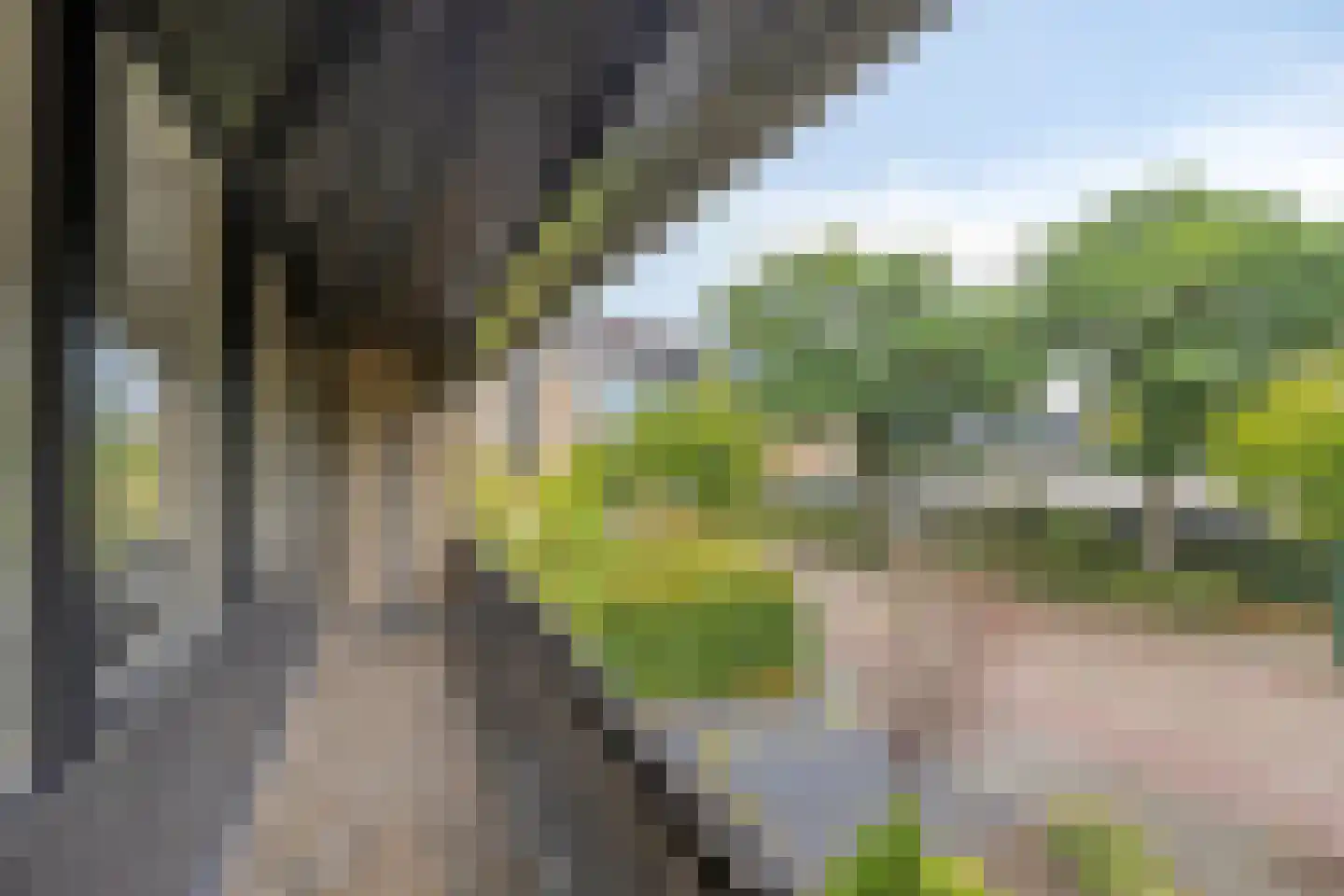 van der Voortweg 19 Boxtel thumbnail 23