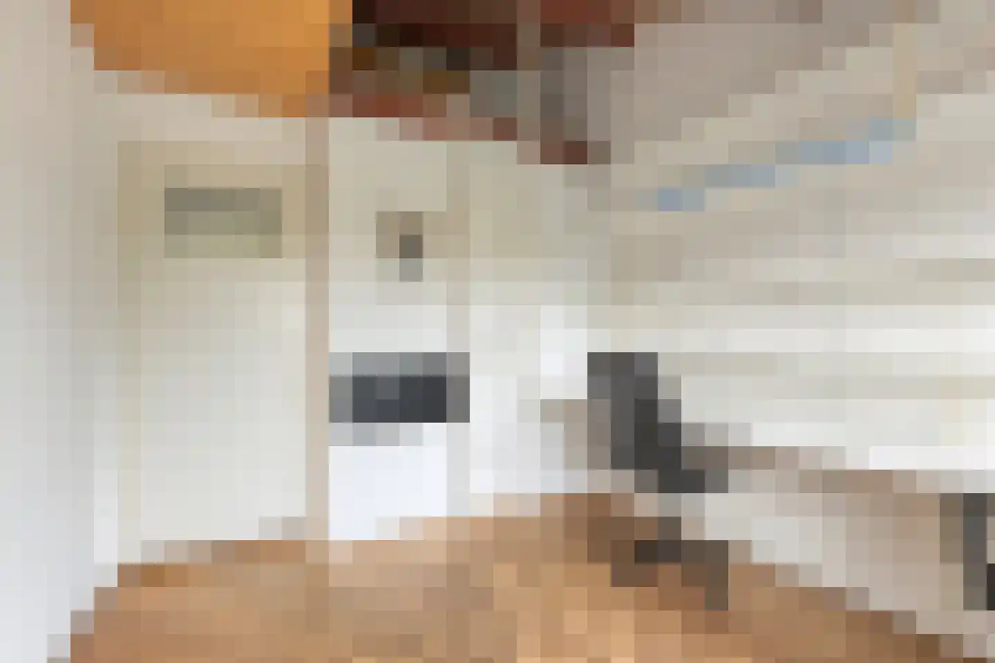 van der Voortweg 19 Boxtel thumbnail 25