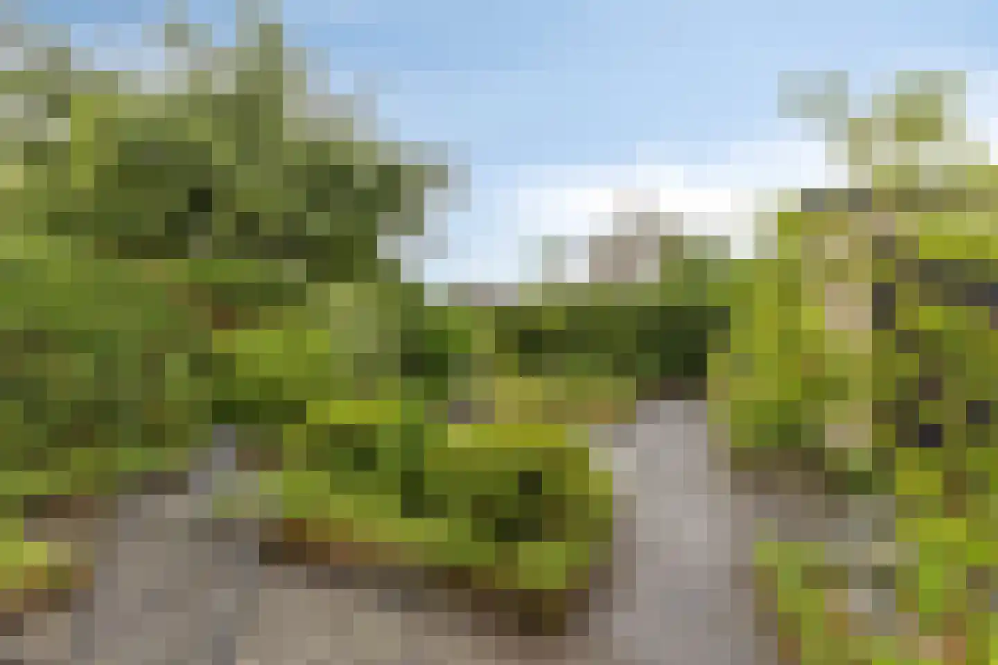 van der Voortweg 19 Boxtel thumbnail 33