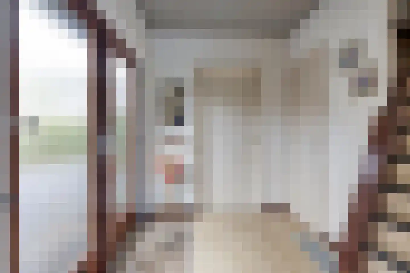 van der Voortweg 19 Boxtel thumbnail 7