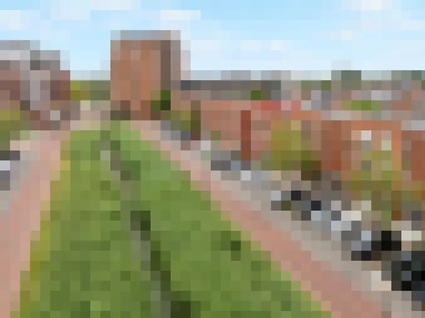 Van der Vormhaven 29 Barendrecht thumbnail 29