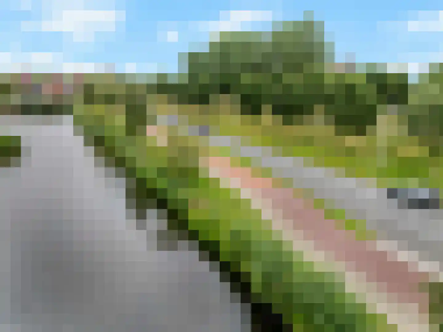 Van der Vormhaven 29 Barendrecht thumbnail 43