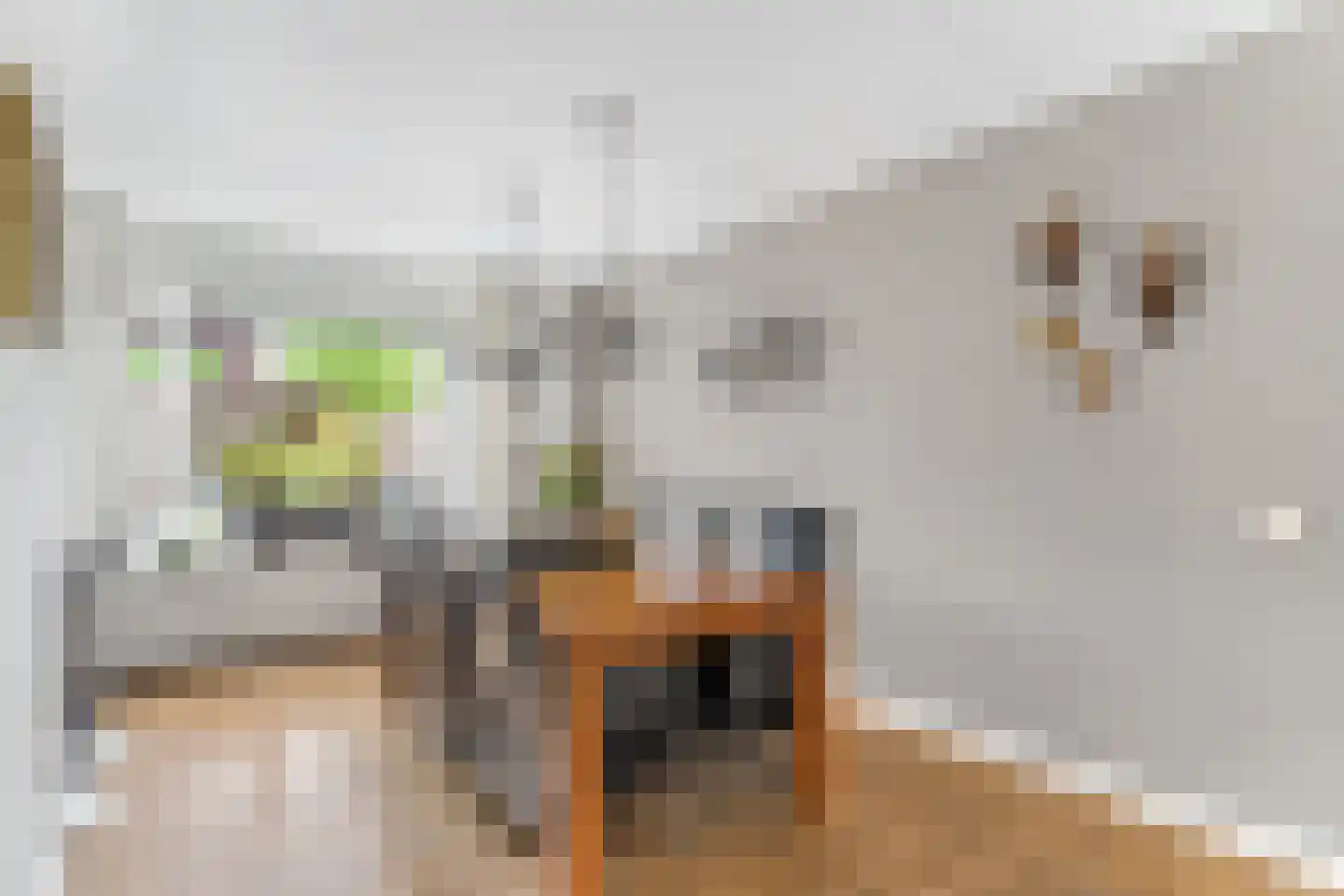 Van der Waalshof 2 Nijkerk thumbnail 15