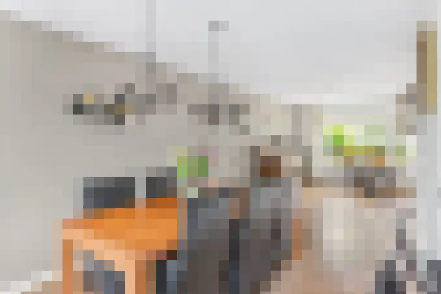 Van der Waalshof 2 Nijkerk thumbnail 17