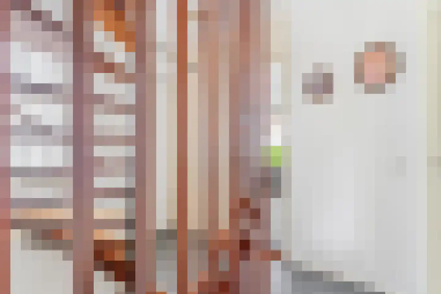 Van der Waalshof 2 Nijkerk thumbnail 24
