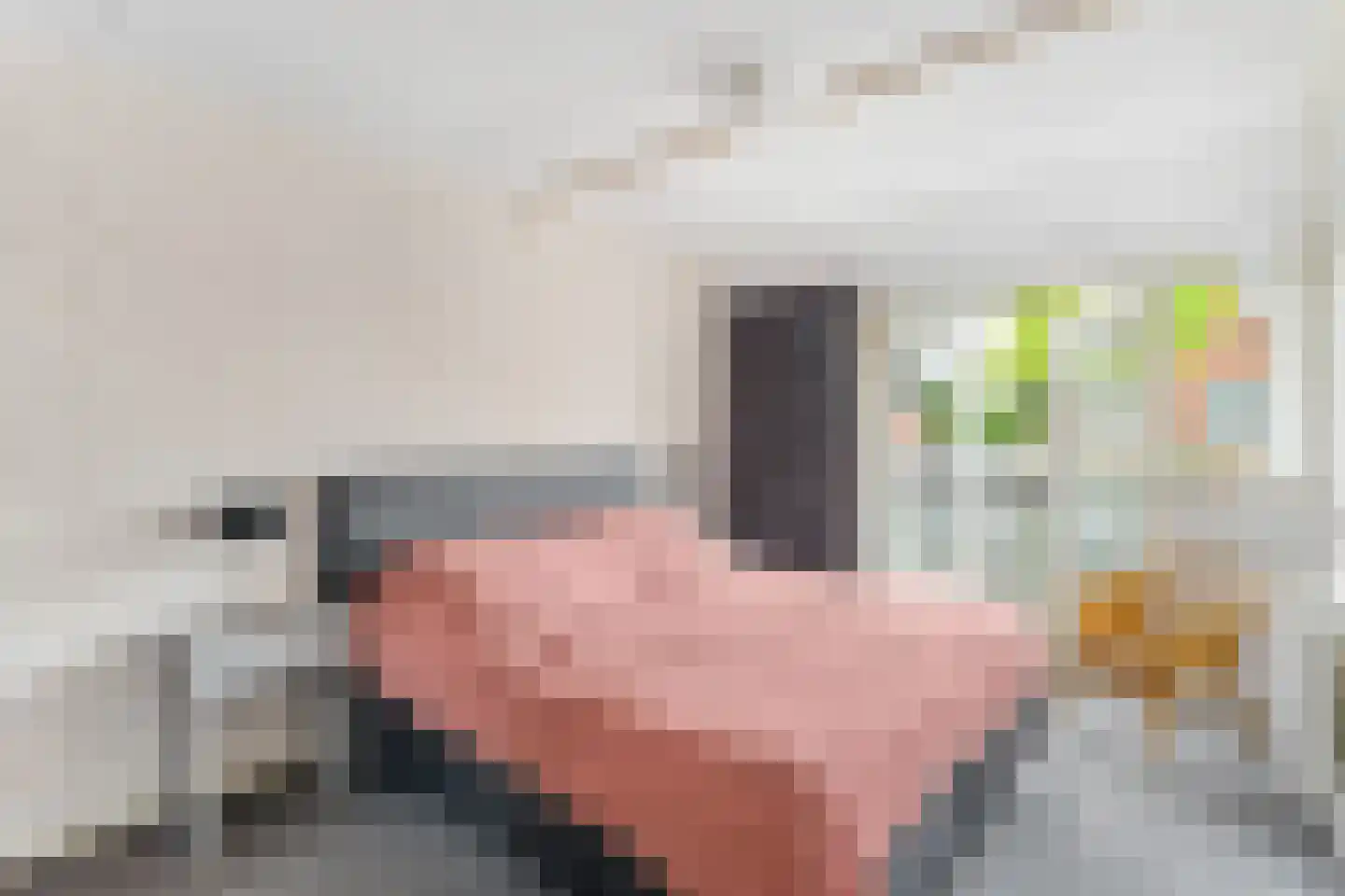 Van der Waalshof 2 Nijkerk thumbnail 33