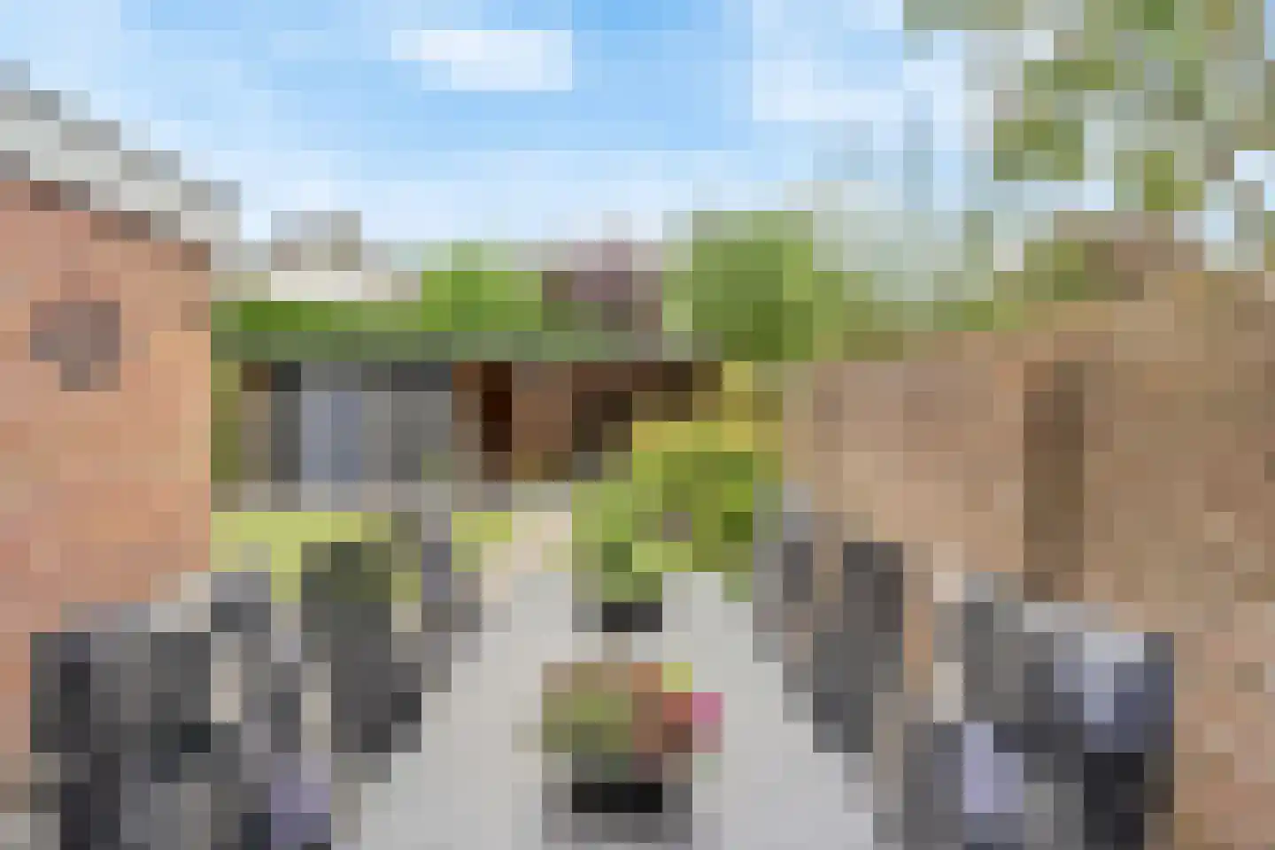 Van der Waalshof 2 Nijkerk thumbnail 39
