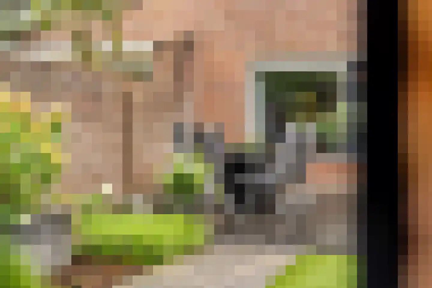Van der Waalshof 2 Nijkerk thumbnail 43