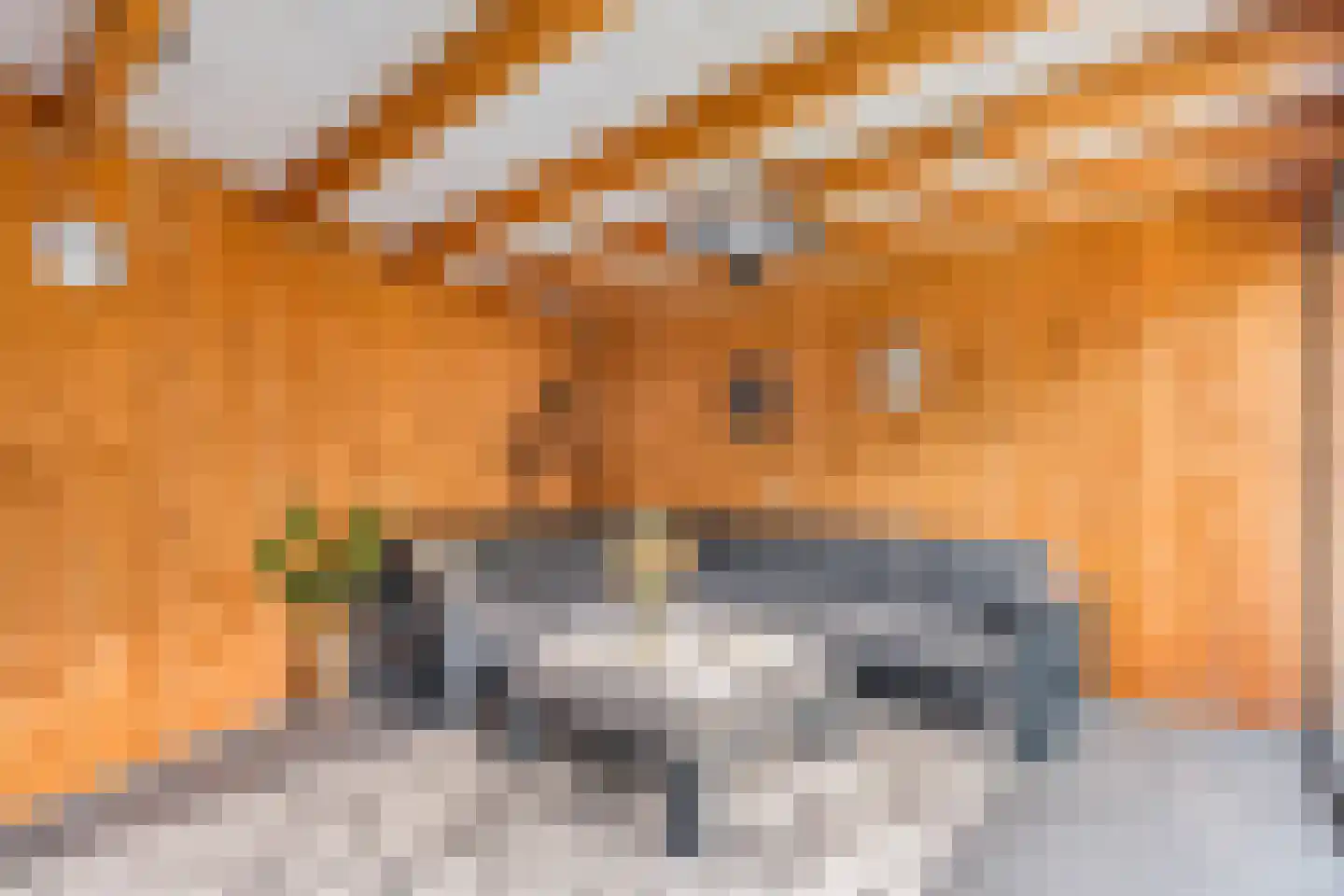 Van der Waalshof 2 Nijkerk thumbnail 46