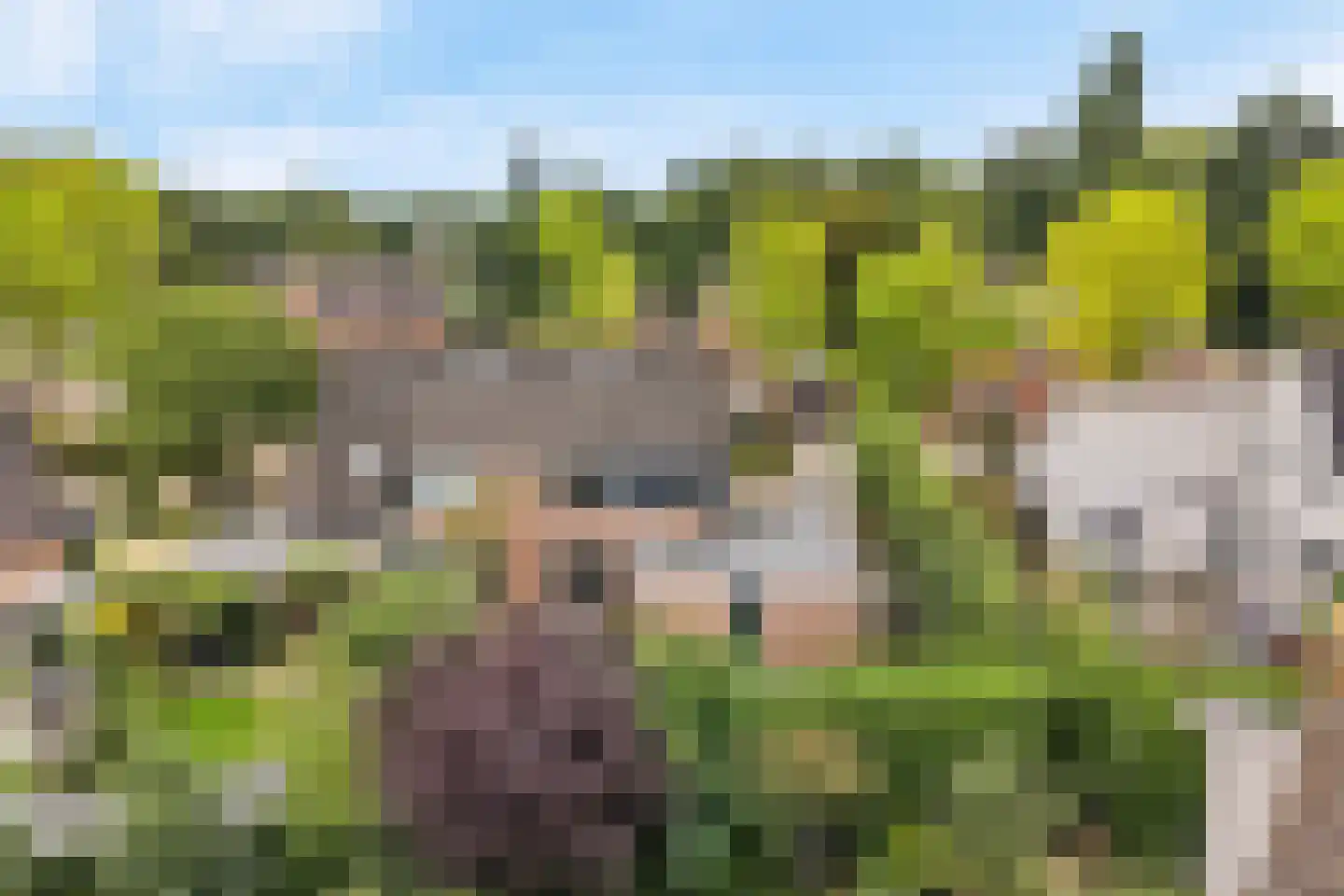 Van der Waalshof 2 Nijkerk thumbnail 49