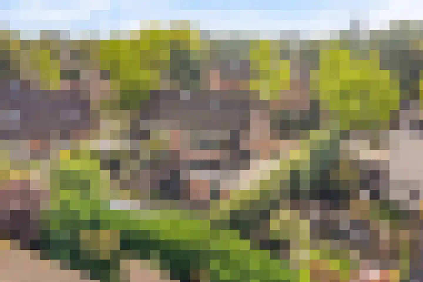 Van der Waalshof 2 Nijkerk thumbnail 51