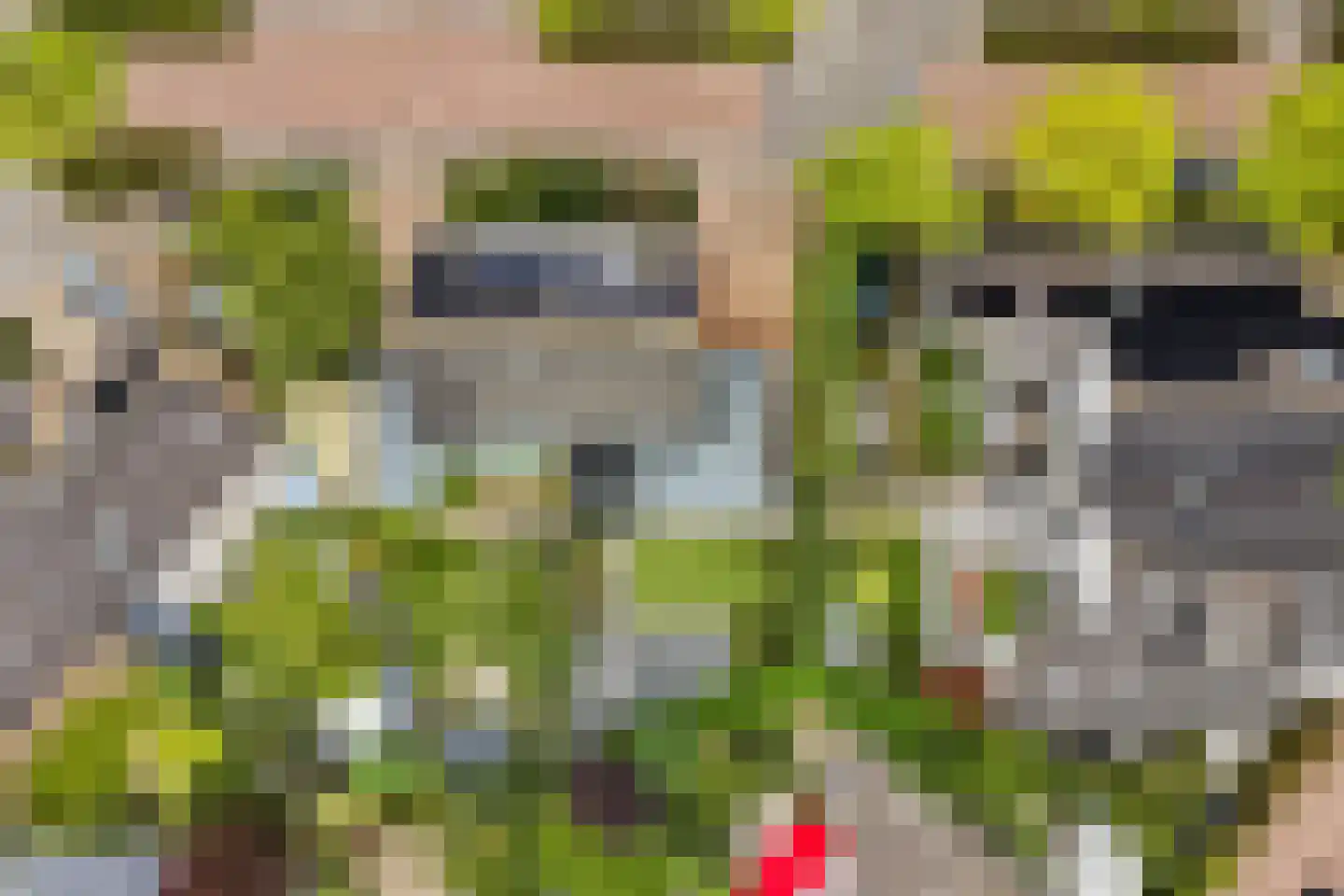 Van der Waalshof 2 Nijkerk thumbnail 52