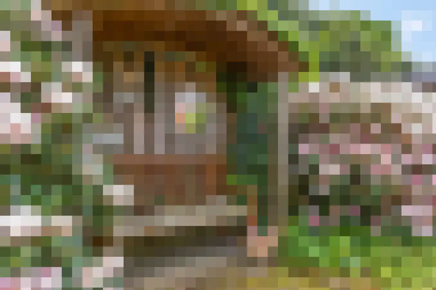 Van der Waalshof 23 Nijkerk thumbnail 32