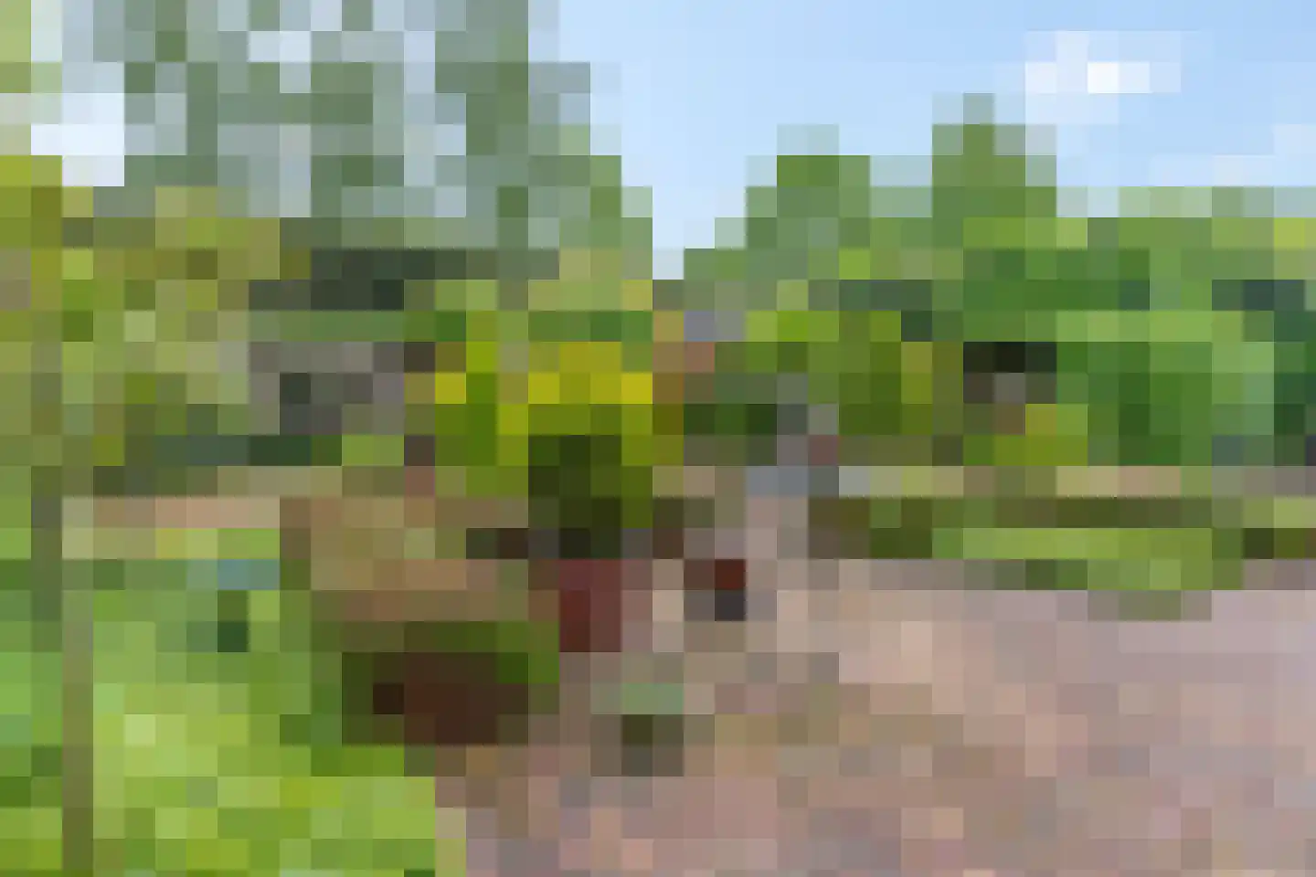 Van der Waalshof 23 Nijkerk thumbnail 35