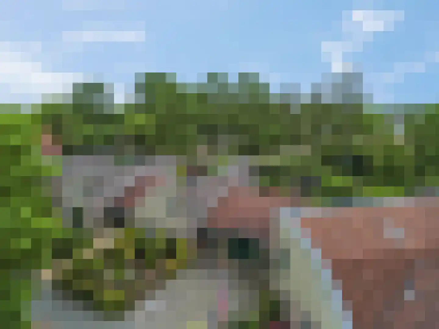 Van der Waalshof 23 Nijkerk thumbnail 44