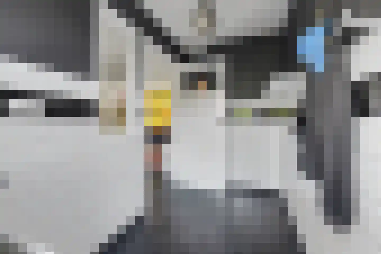 Van der Waalslaan 1 Enschede thumbnail 19