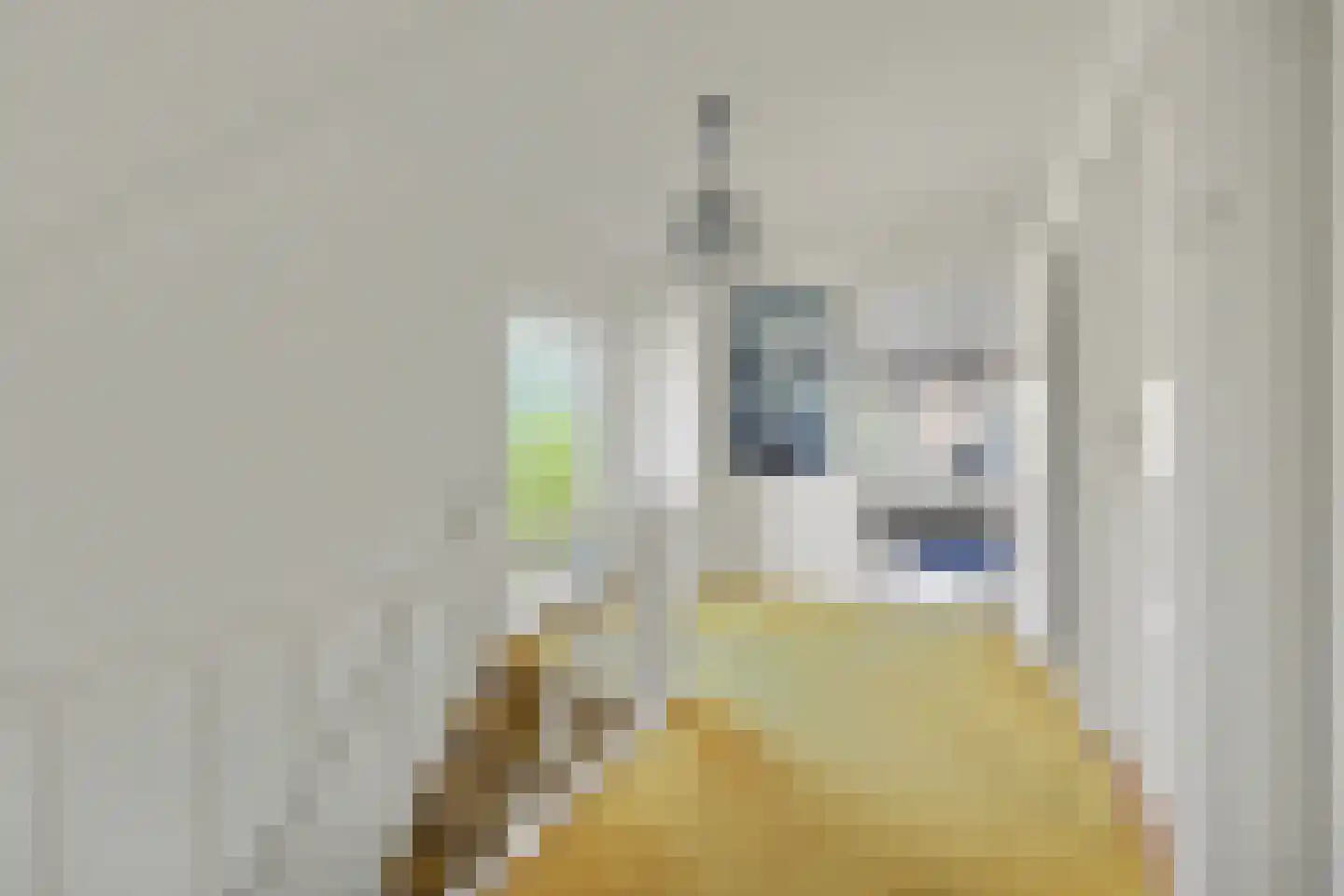 Van der Waalslaan 1 Enschede thumbnail 20