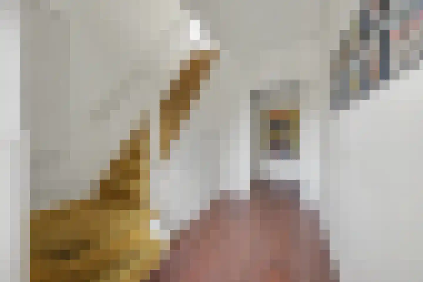 Van der Waalslaan 1 Enschede thumbnail 6